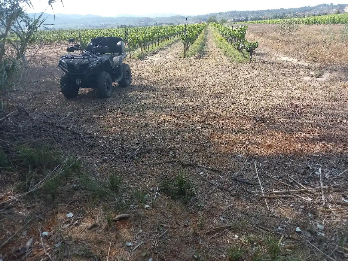 Lands and plots for sale in Ginestar, imagen 15