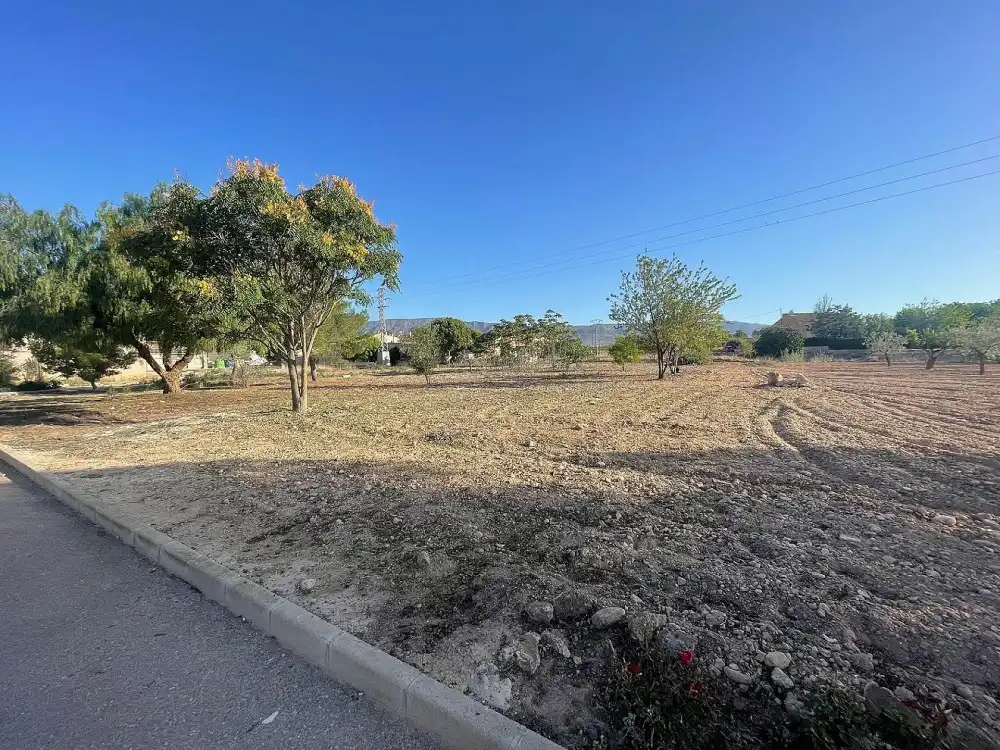 Terreny residencial en venda a El Pinós / Pinoso, imagen 10