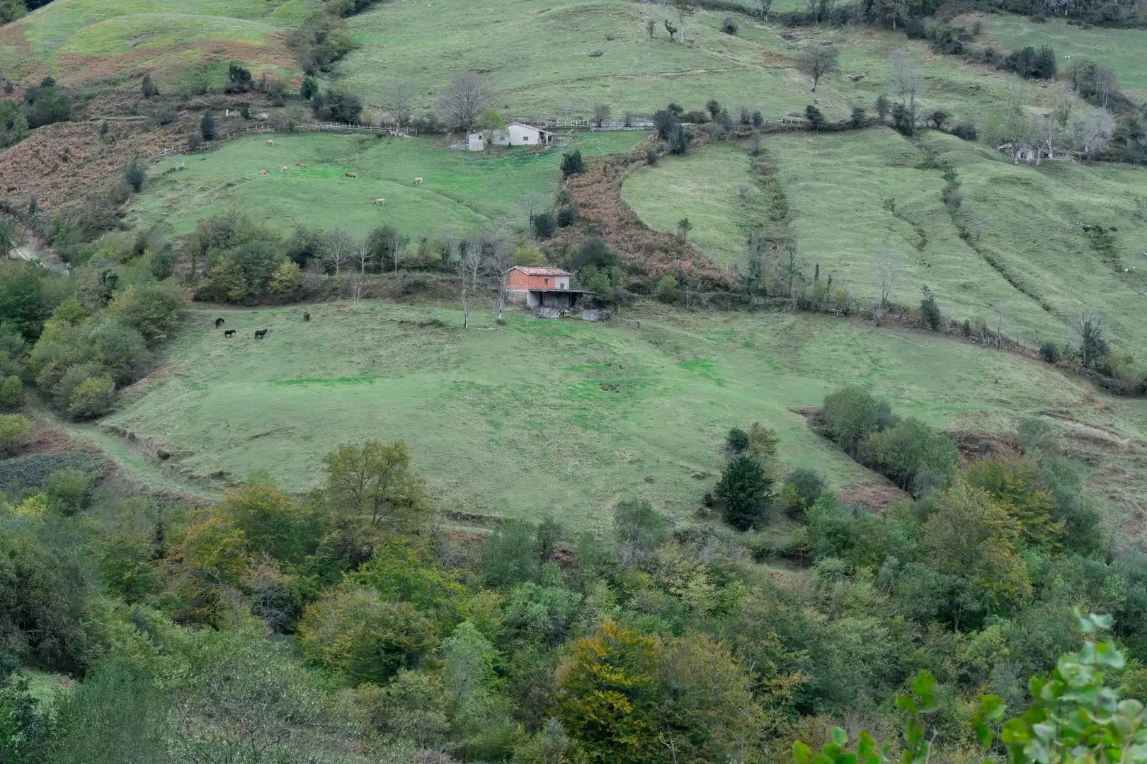 Grundstücke zum Verkauf in Laviana