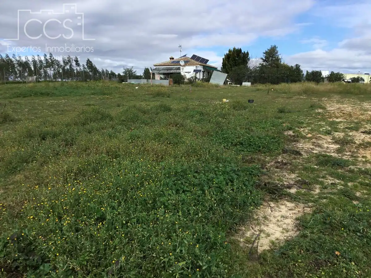 Casa rústica amb piscina en venda a Almonte ciudad, imagen 23