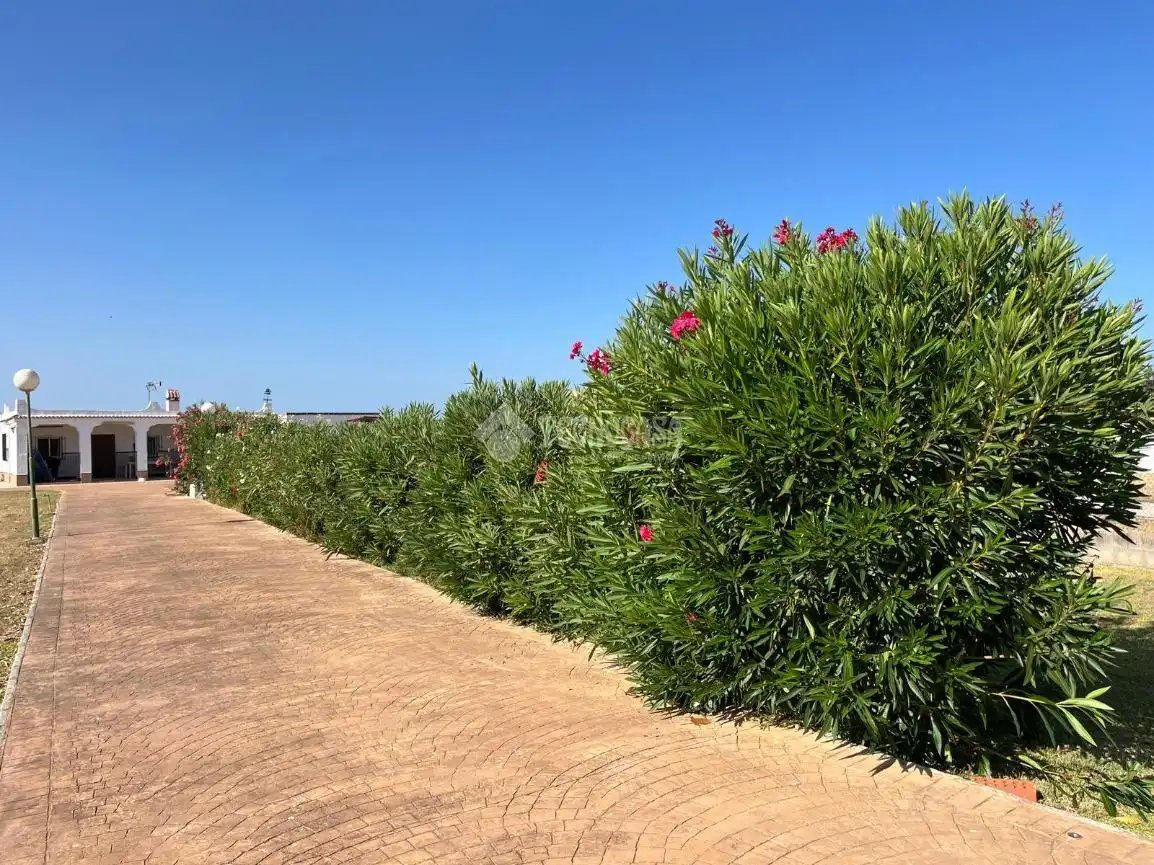 Finca rústica en venda en Chiclana de la Frontera amb Terrassa i Moblat
