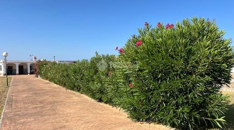 Foto 2 de Finca rústica en venda a Pelagatos - Pago del Humo, Chiclana de la Frontera