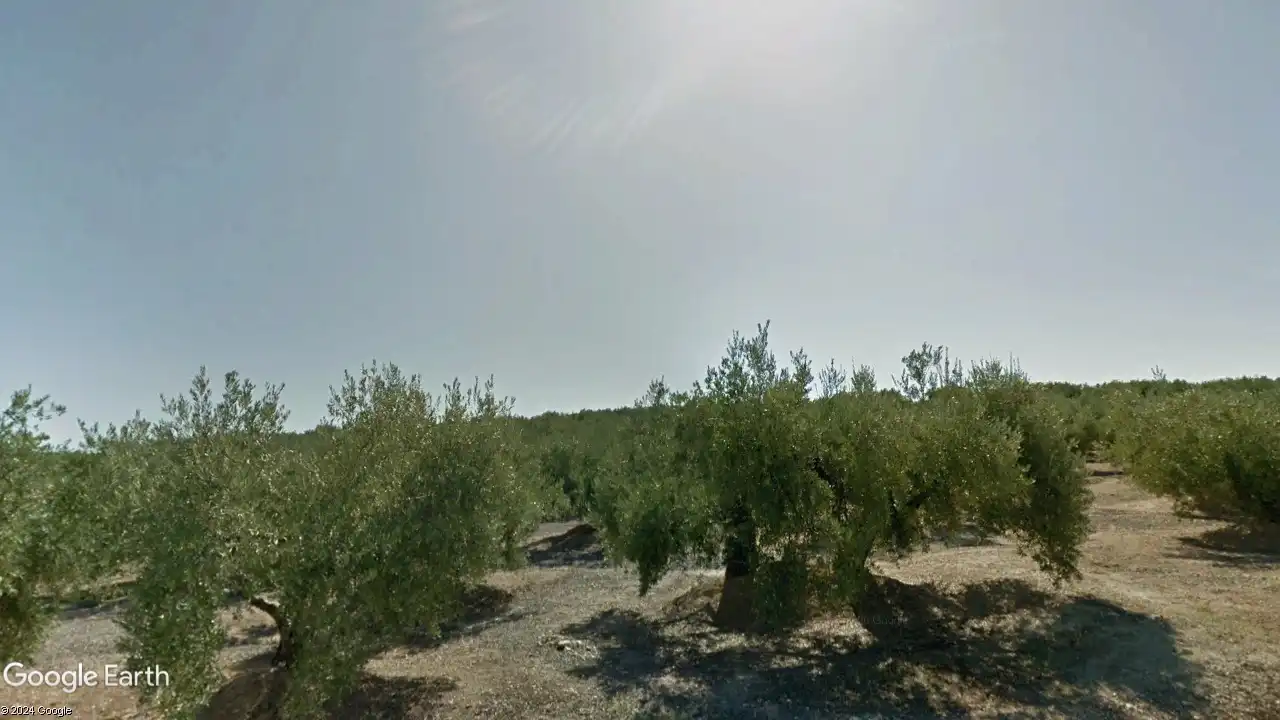 Terreni e lotti in vendita a Torredonjimeno, imagen 2