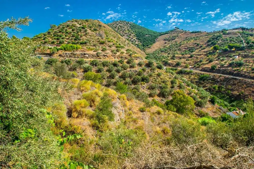 Rustikales Grundstück zum Verkauf in Torrox Pueblo, imagen 5