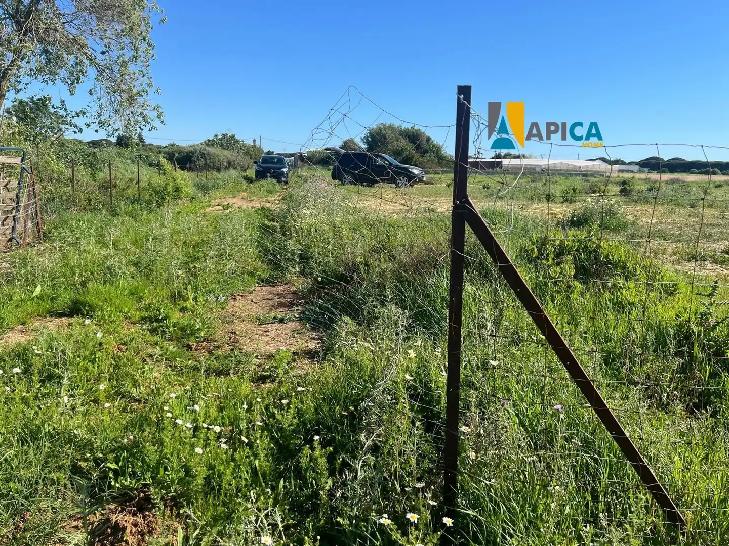 Terreno en venta en Conil de la Frontera