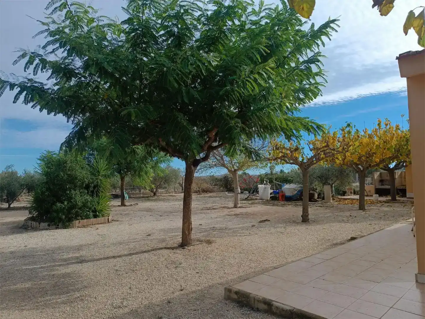 Casa o xalet en venda en Novelda amb Jardí privat, Traster i Moblat