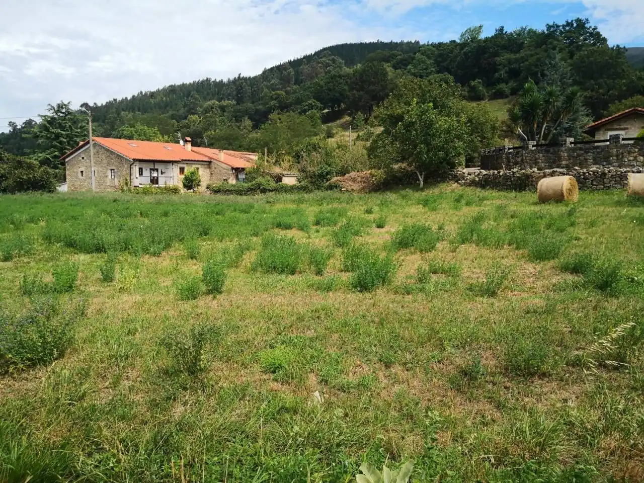 Terrain résidentiel à vendre à Santiurde de Toranzo, imagen 6