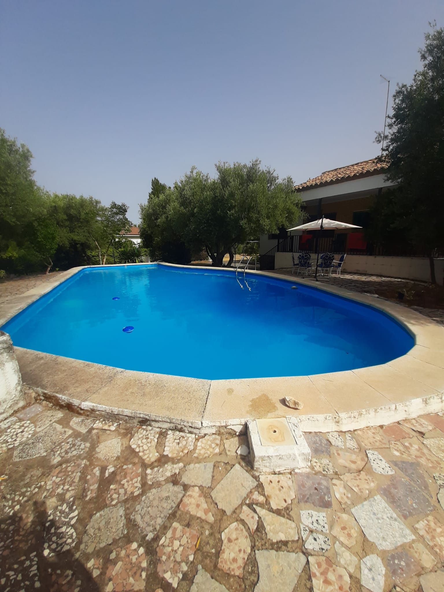 Piscina de Casa o xalet en venda en Baeza amb Jardí privat, Terrassa i Piscina