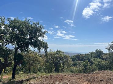 Rural land for sale in La Mairena