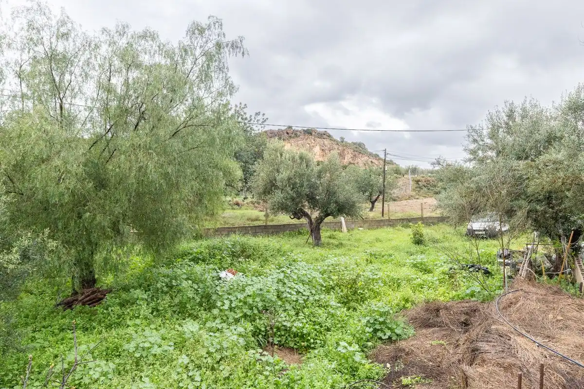 Casa pareada en venta en Carrer de les Rodanes, imagen 15