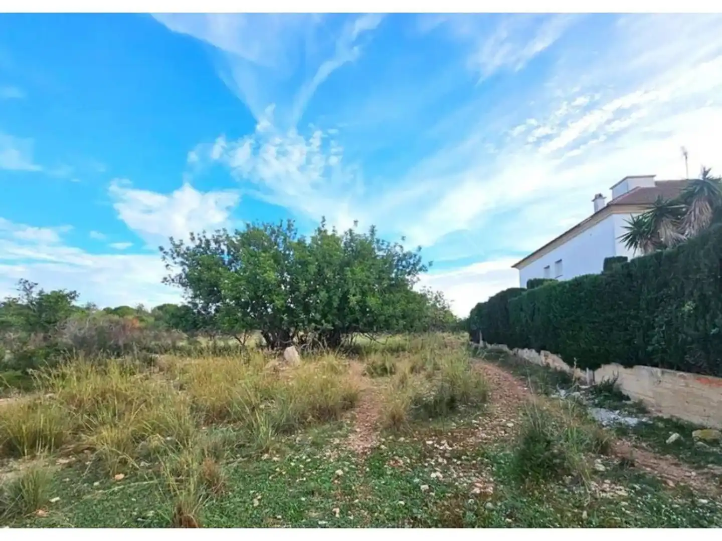 Rural land for sale in Calle de la Fonolleda, imagen 2