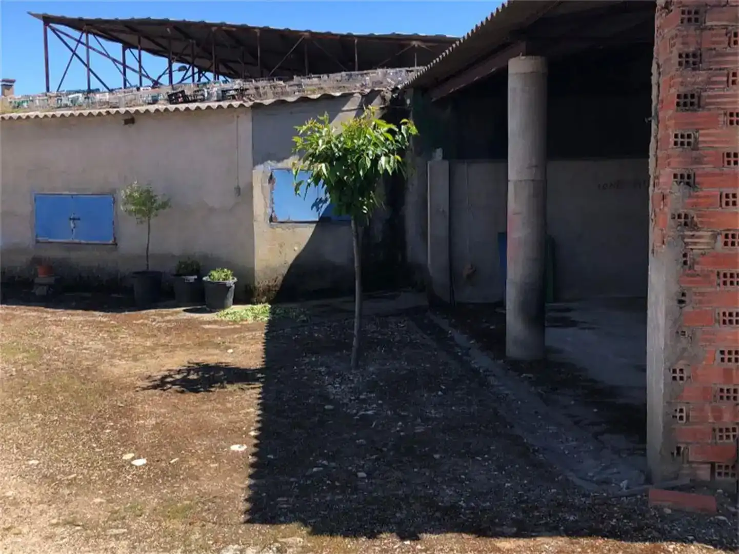 Land for sale in Pesquera de Duero