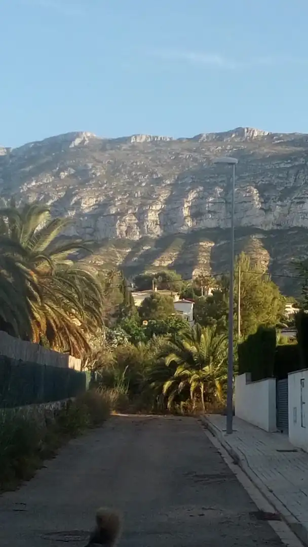 Vista exterior de Casa o chalet en venta en Dénia con Aire acondicionado, Calefacción y Jardín privado