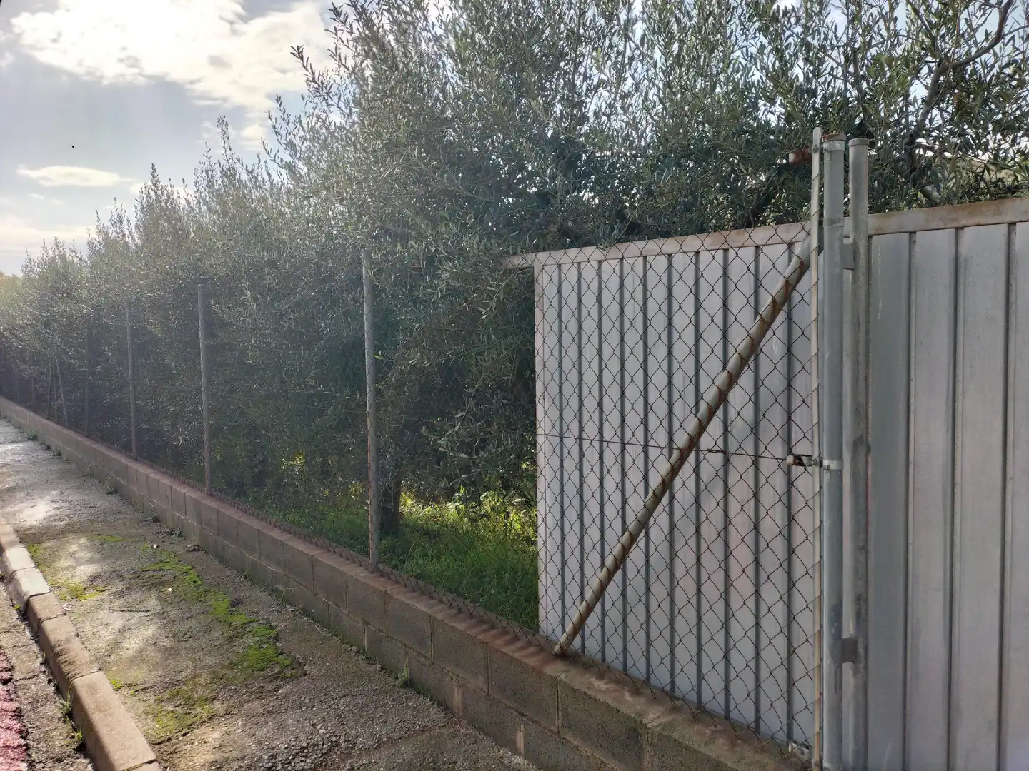Terrain rustique à vendre à Els Hostalets de Pierola, imagen 8