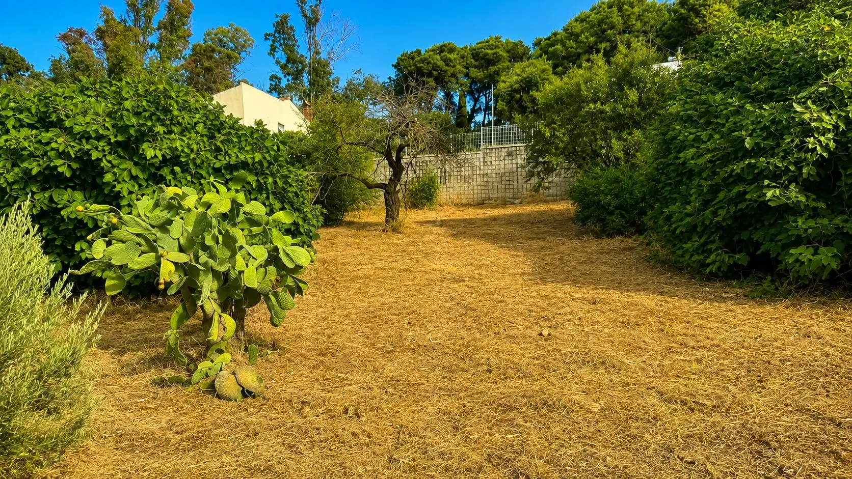 Wohnbaugrundstück zum Verkauf in La Banda - Campo de Fútbol, imagen 11