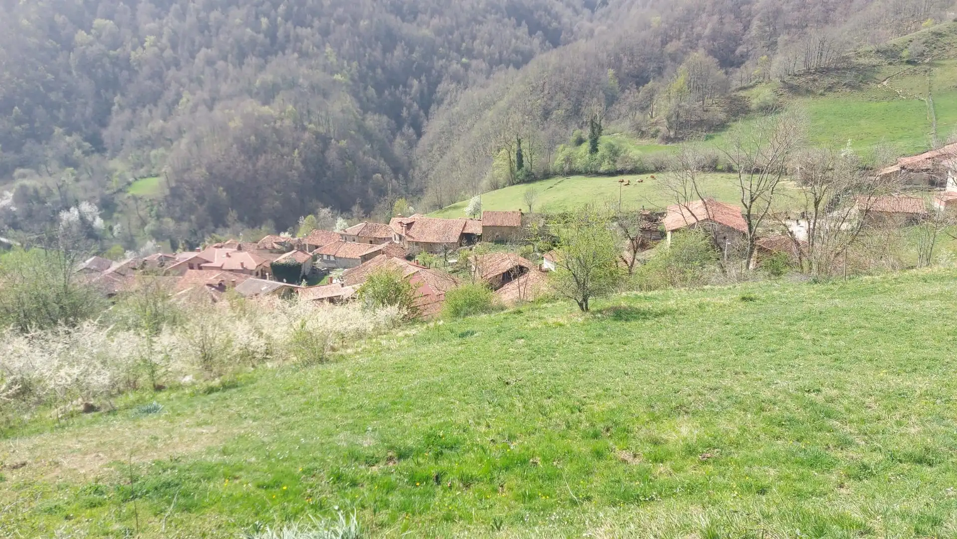 Terreno rustico in vendita a Pesaguero, imagen 3