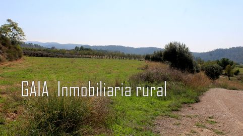 Immagine 5 dell'annuncio