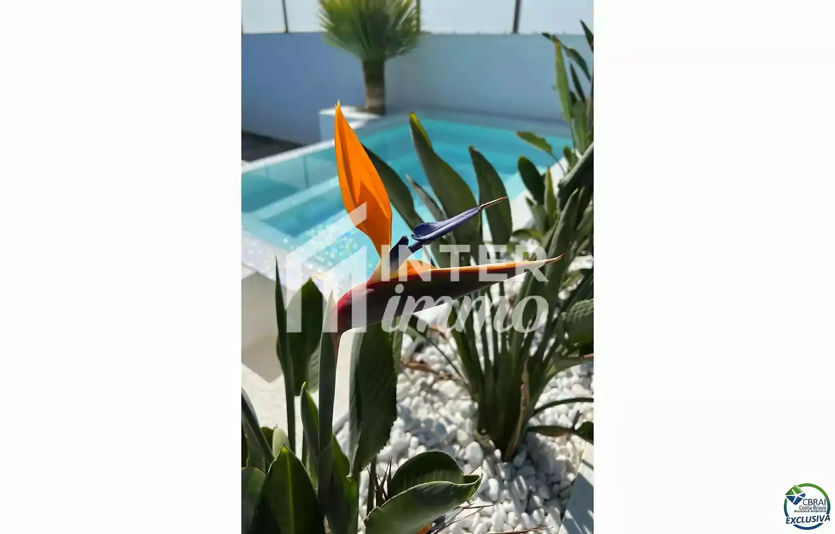 House with pool for sale in Carrer Falconera 24, imagen 9
