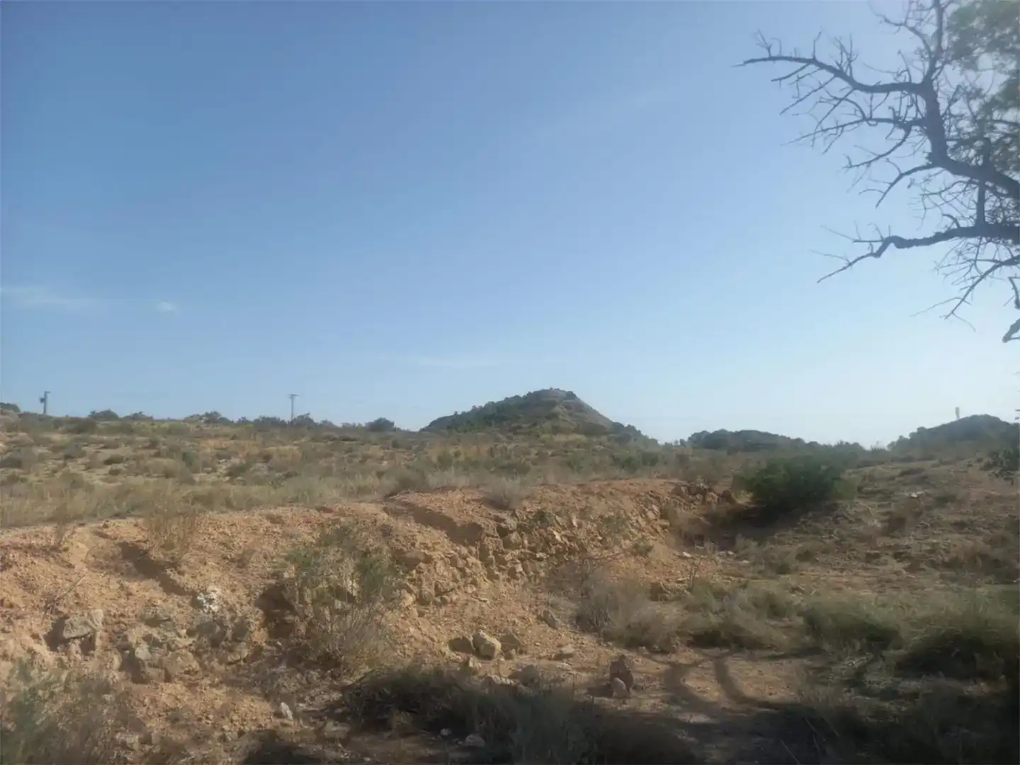 Finca rústica en venda en Alicante / Alacant