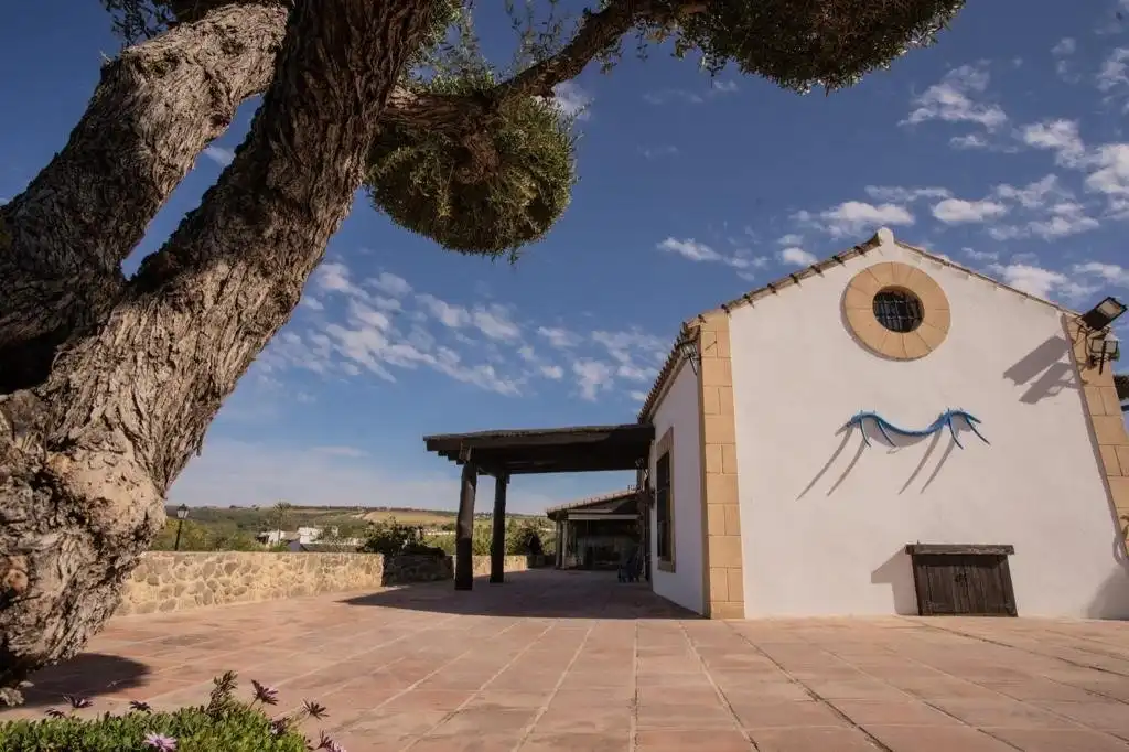 Vista exterior de Finca rústica en venda en Arcos de la Frontera amb Calefacció, Terrassa i Traster