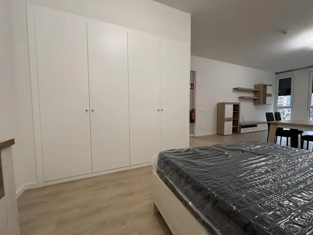 Dormitori de Estudi de lloguer en Madrid amb Aire condicionat, Moblat i Piscina comunitària