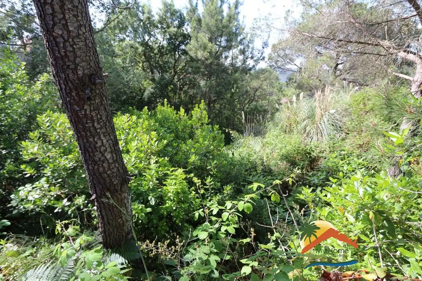 Wohnbaugrundstück zum Verkauf in Serra Brava, imagen 4