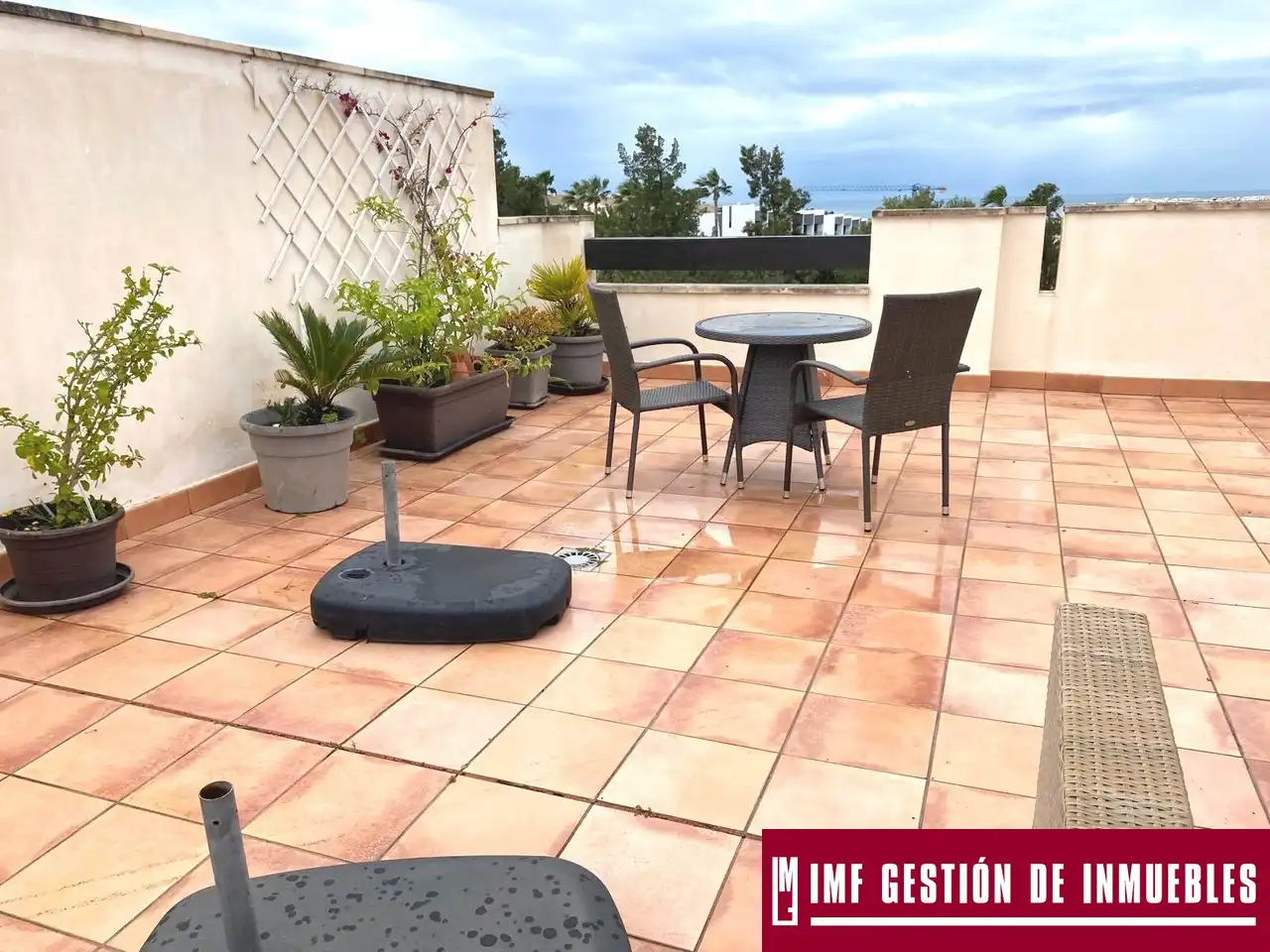 Ático con piscina en venta en Calle Bauhinias de Baviera 2, imagen 17