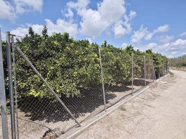 Terreny residencial en venda a Tavernes de la Valldigna