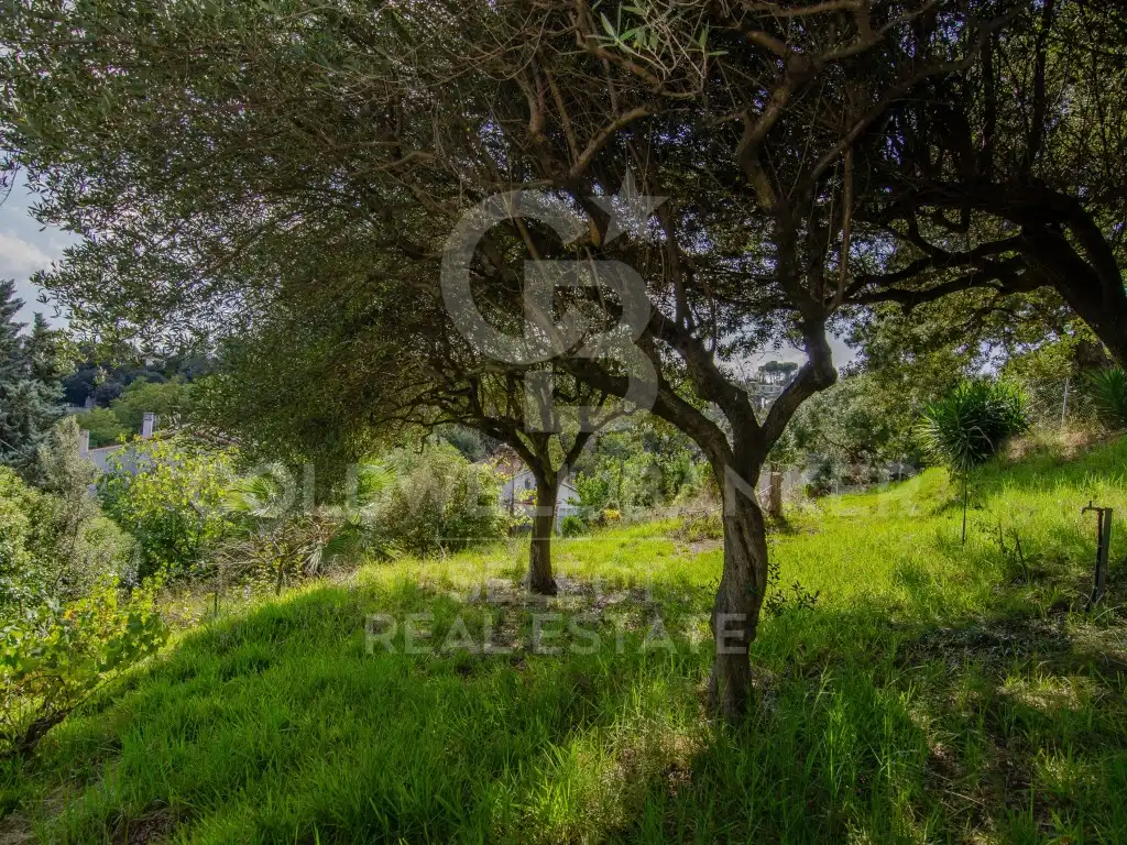 Terreny residencial en venda a Bellaterra, imagen 6