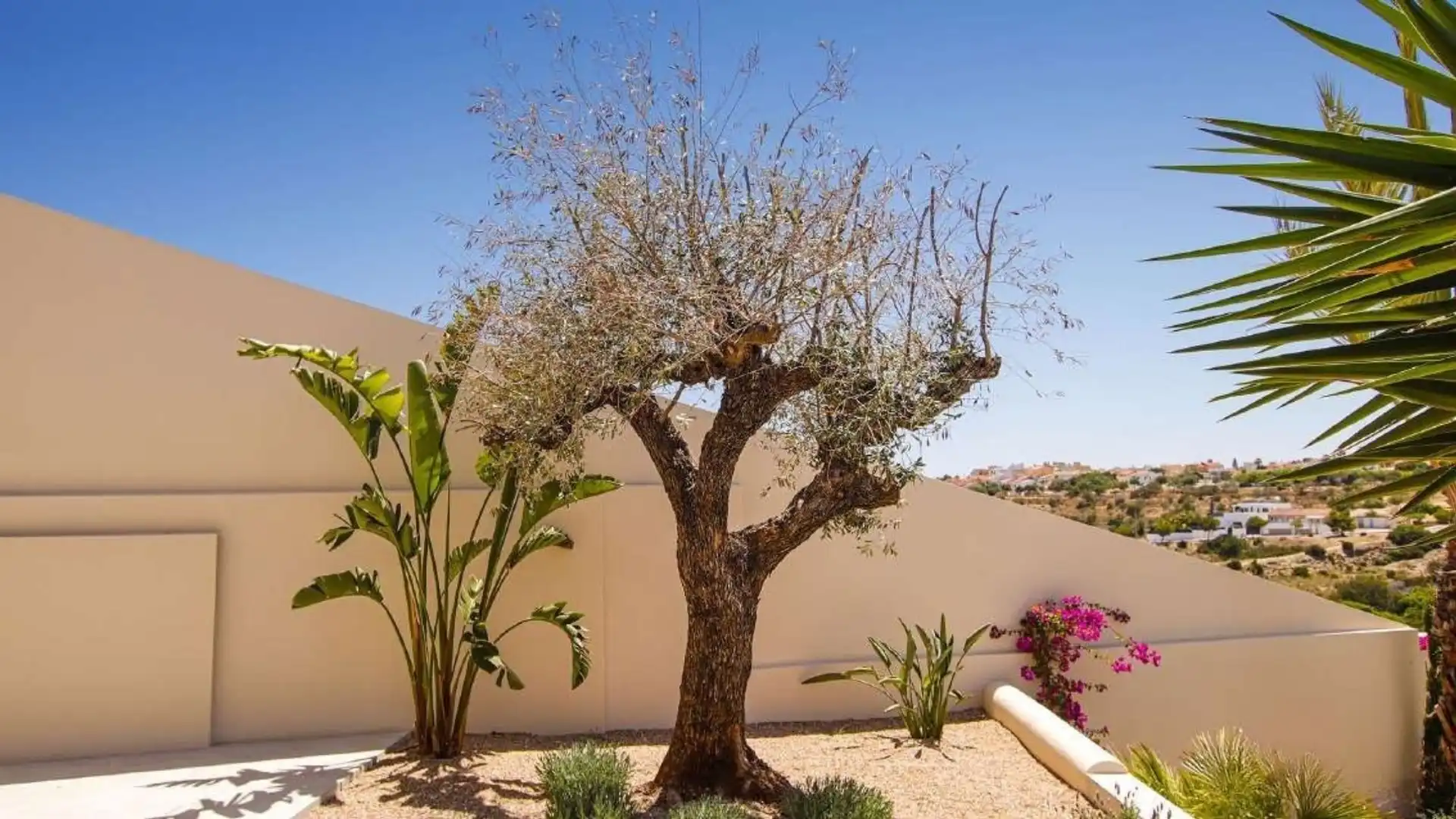 Casa en venda a San Fulgencio, imagen 28