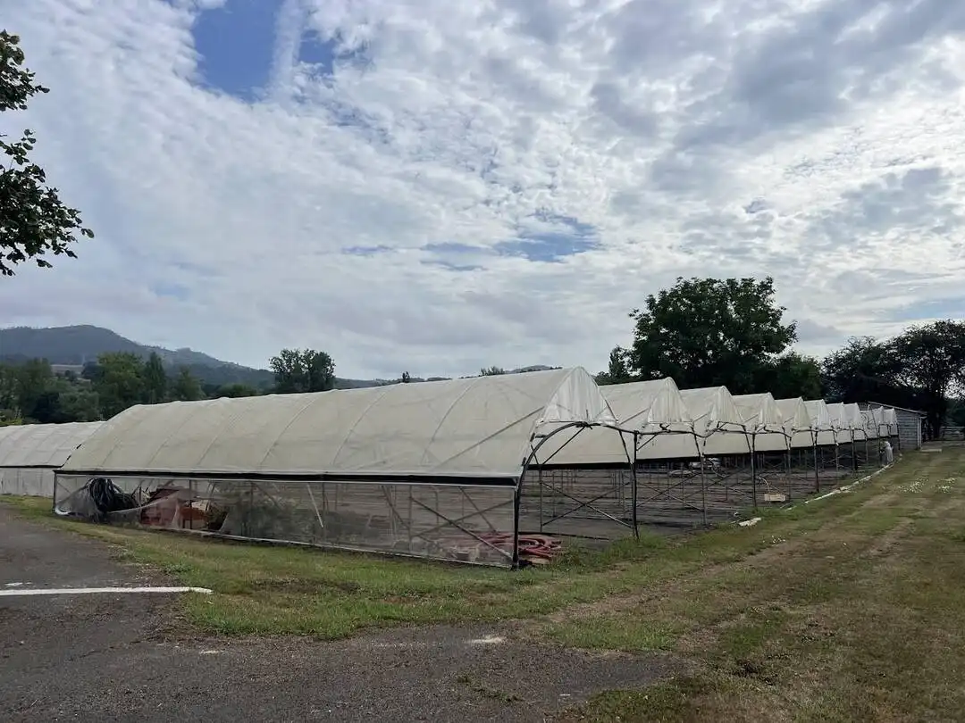 Terrenys i solars en venda a Llanera, imagen 20