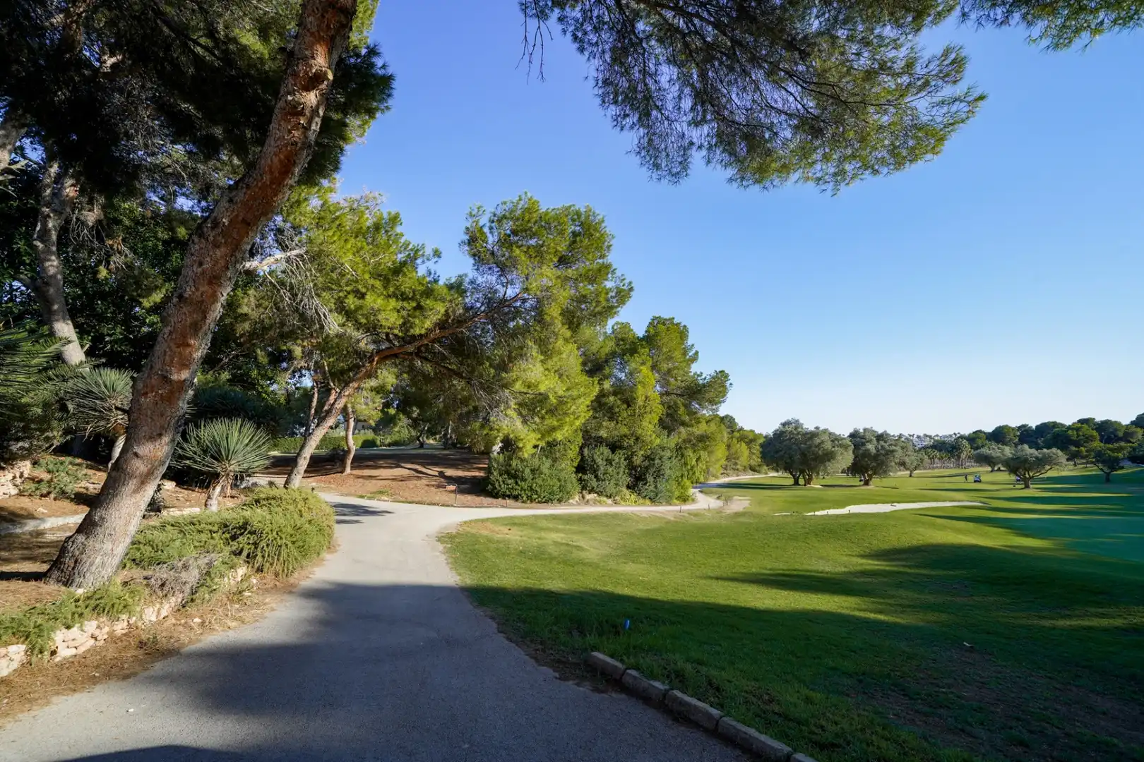 Adosado con jardín en venta en Orihuela Costa, imagen 41