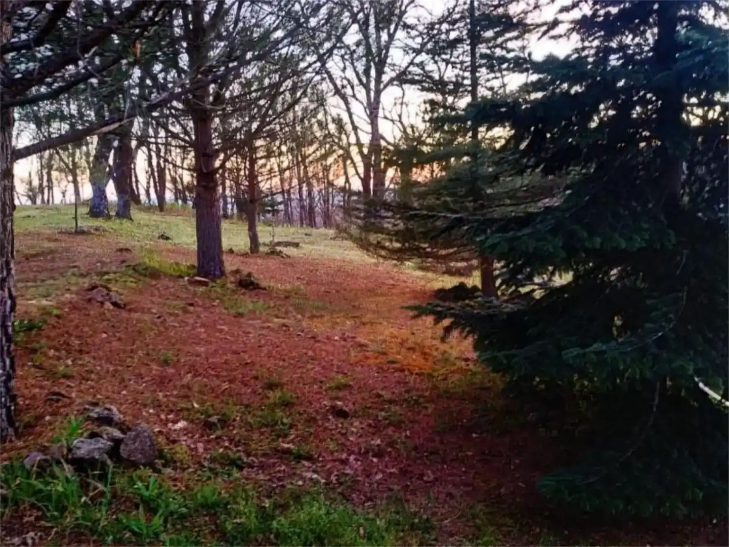 Piso en venta en Losar de la Vera con Jardín privado, Parquet y Trastero