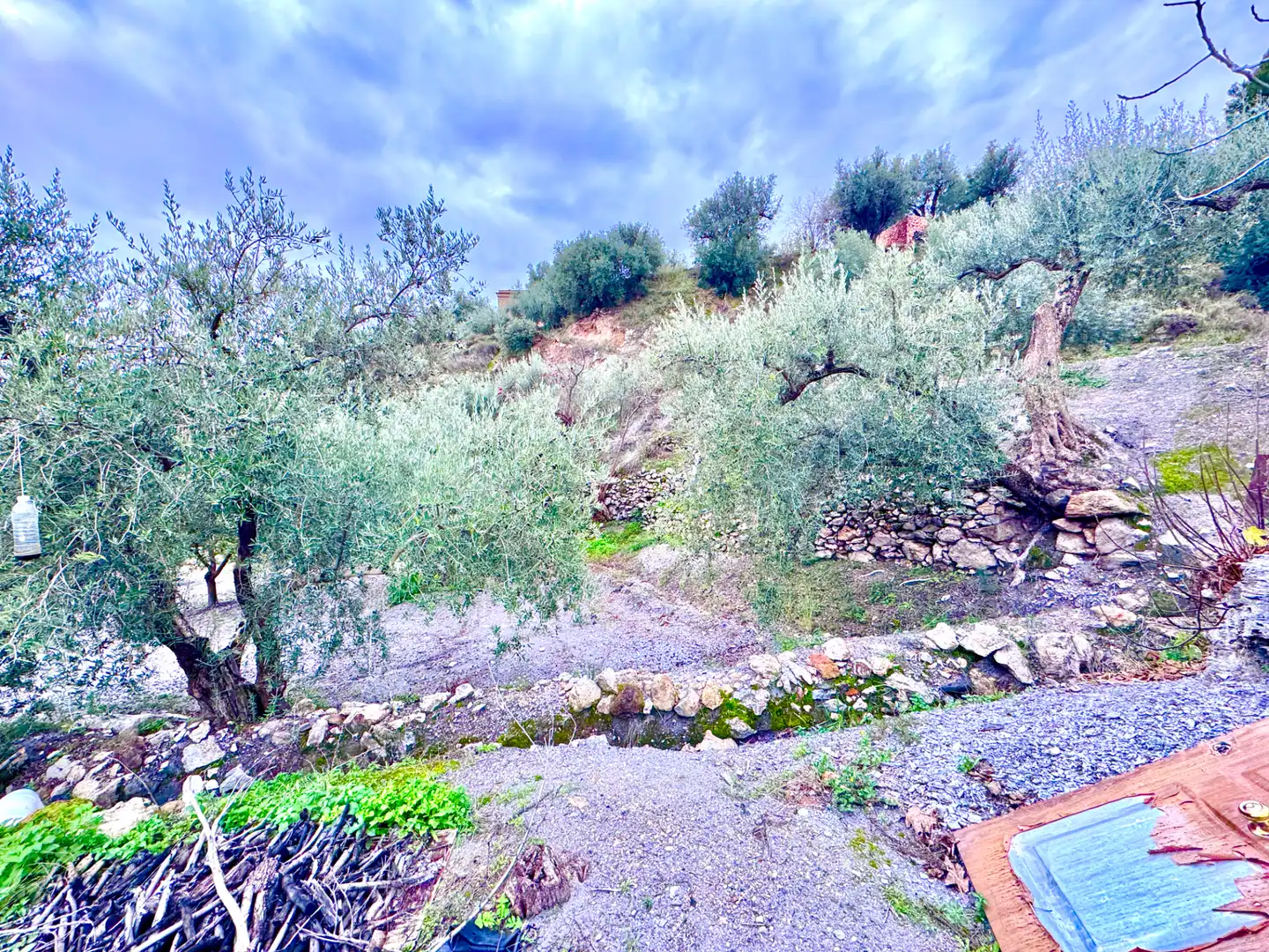 Terreni e lotti in vendita a Lugar Cortijo El Peñon, imagen 32