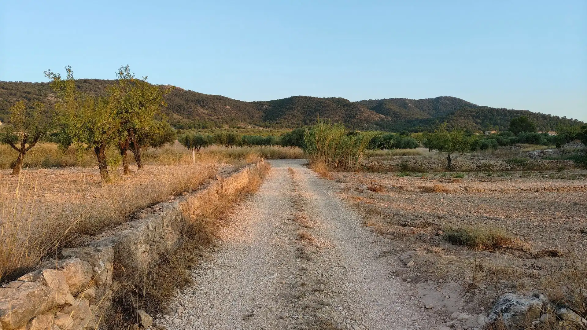 Lands and plots for sale in Abanilla, imagen 3