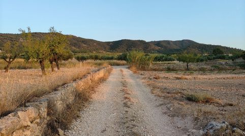 Parcela de suelo urbano de 971 m con olivos y posibilidad de construcción entre Abanilla y Jumilla, immagine 3