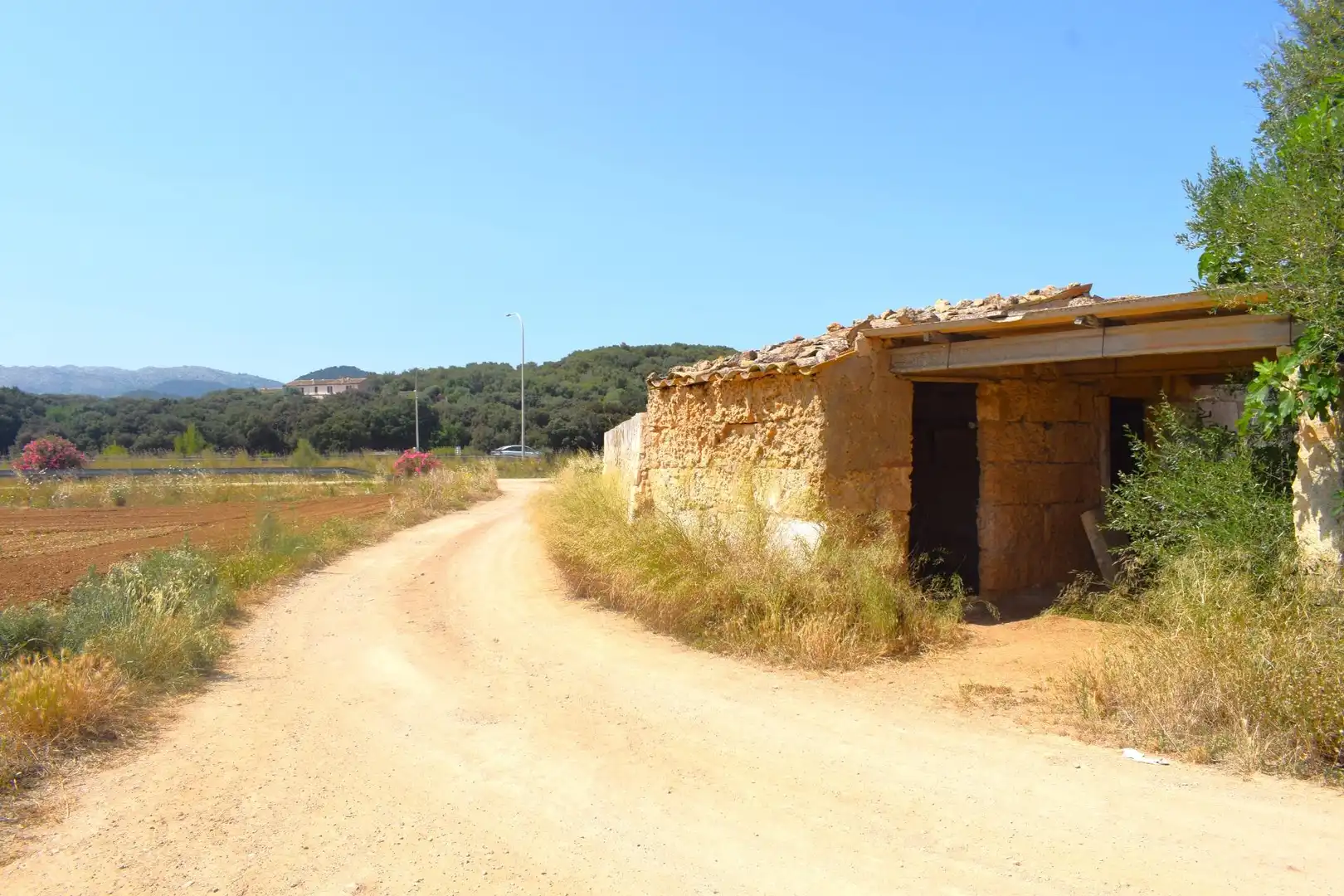 Rural land for sale in Sa Pobla, imagen 4