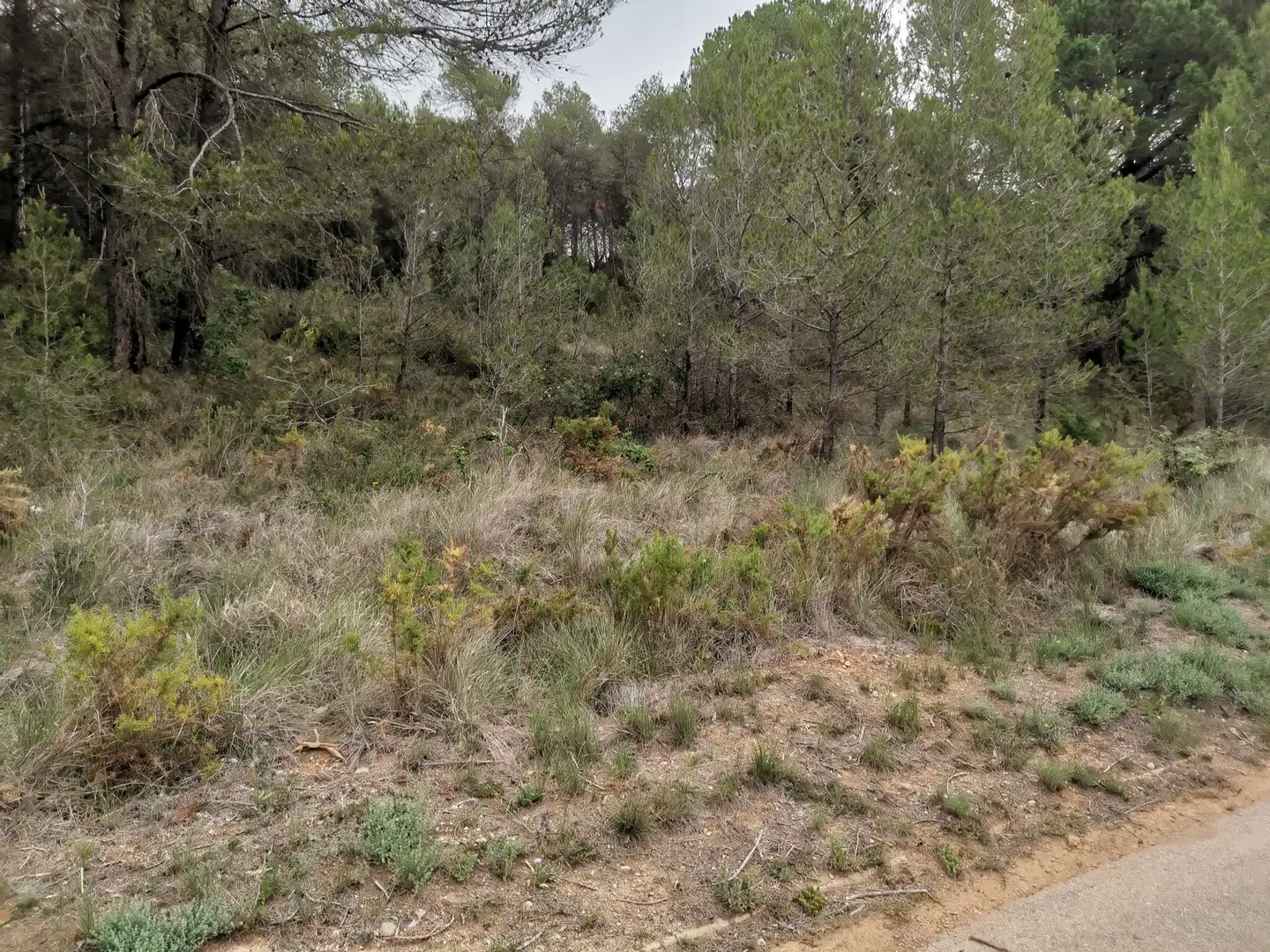 Residencial en venda en El Montmell