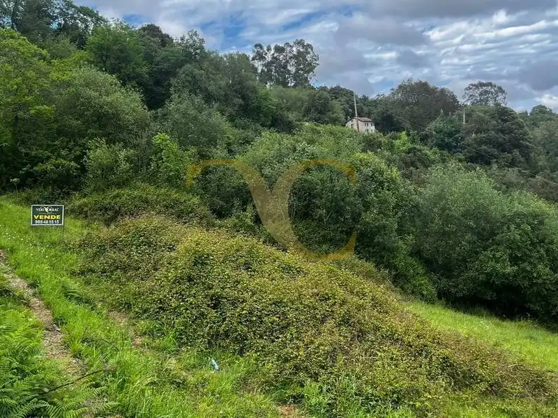 Terreny rústic en venda a Andinas, imagen 2