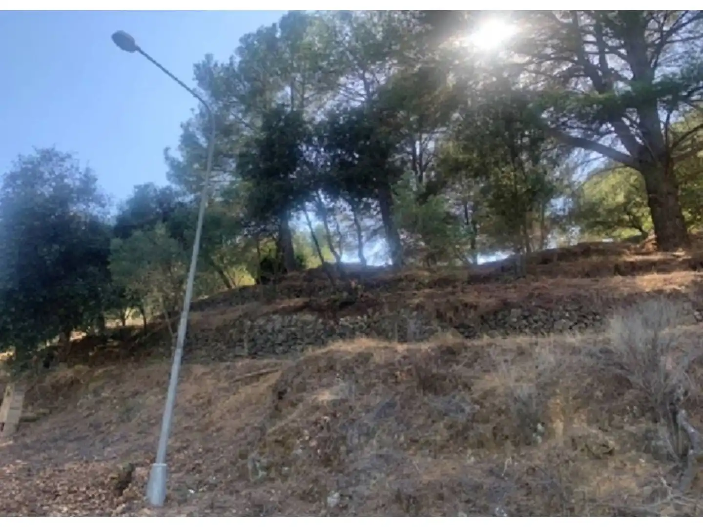 Terreno rustico in vendita a Calle de les Rutxel les 128, imagen 7
