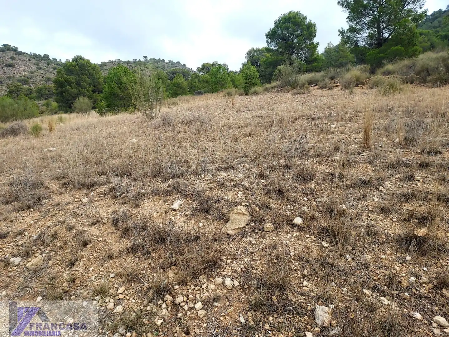 Terrenys i solars en venda a Cieza, imagen 6