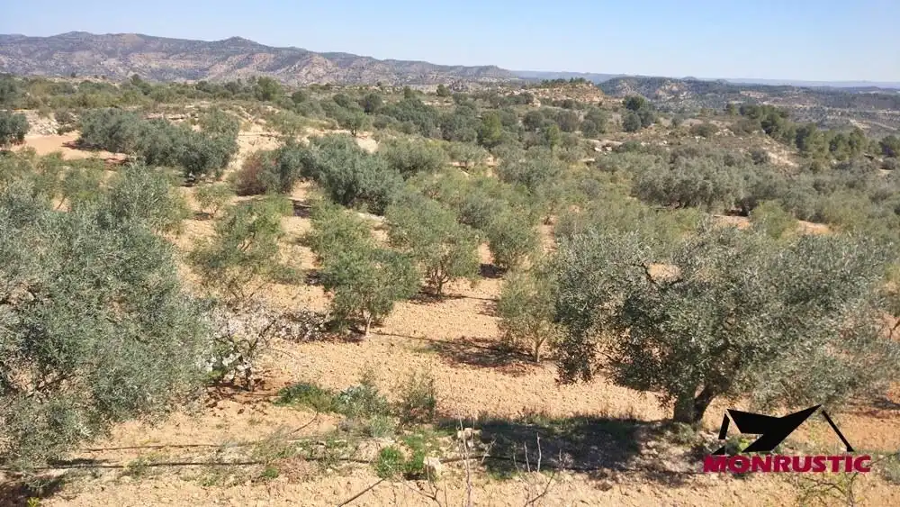 Terrain rustique à vendre à Riba-roja d'Ebre, imagen 12