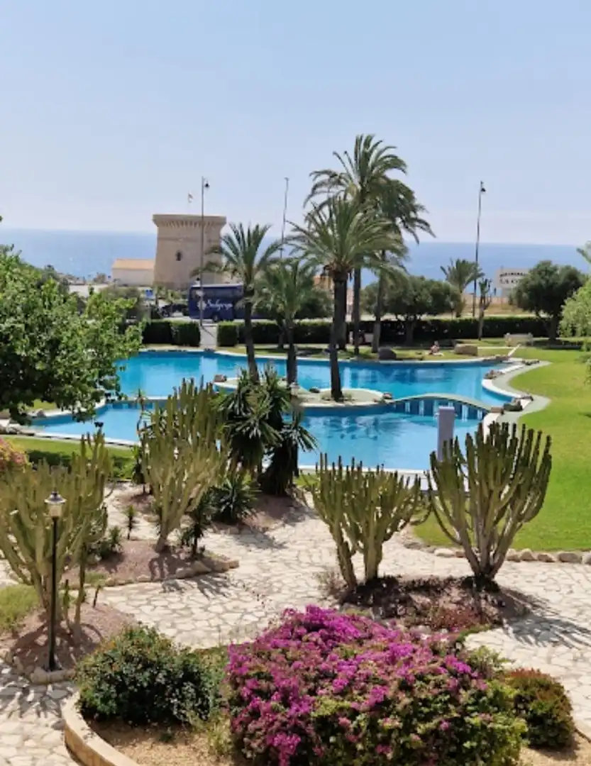 Swimming pool of Apartments for sale in El Campello  with Air Conditioner, Heating and Private garden