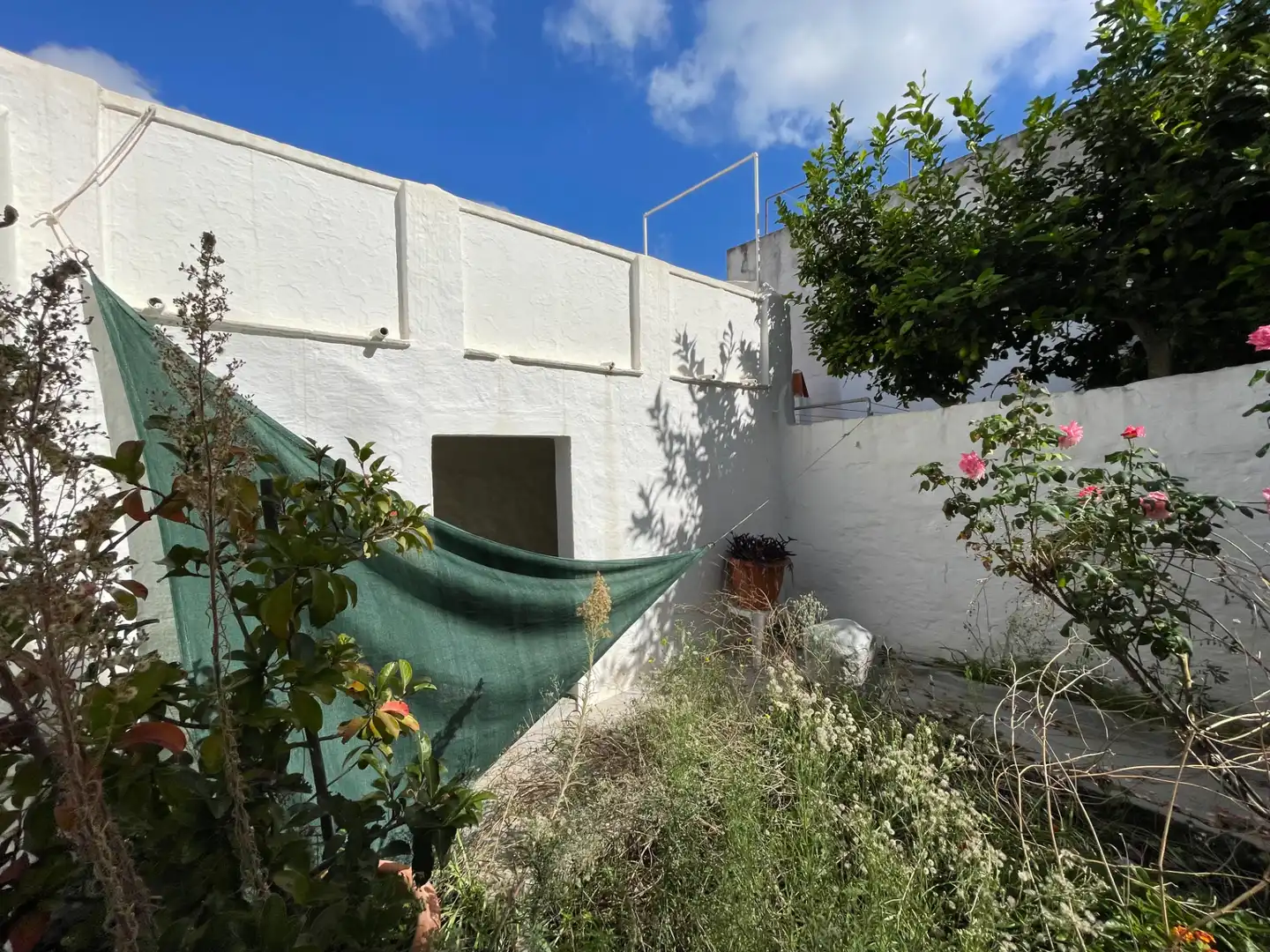 Vista exterior de Casa o xalet en venda en Maó - Mahón amb Jardí privat i Terrassa