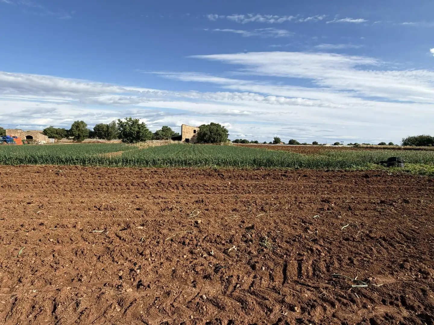 Country homes for sale in Manacor