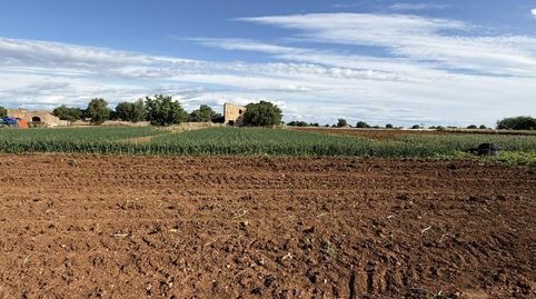 Photo 3 of Country homes for sale in Polígono Poligon 25, 1420, Manacor Centre, Manacor