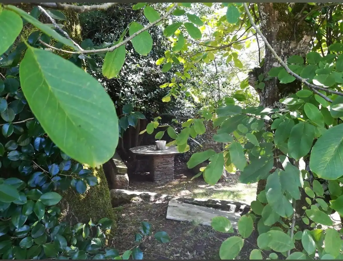 Jardín de Finca rústica en venta en Outeiro de Rei con Piscina y Amueblado