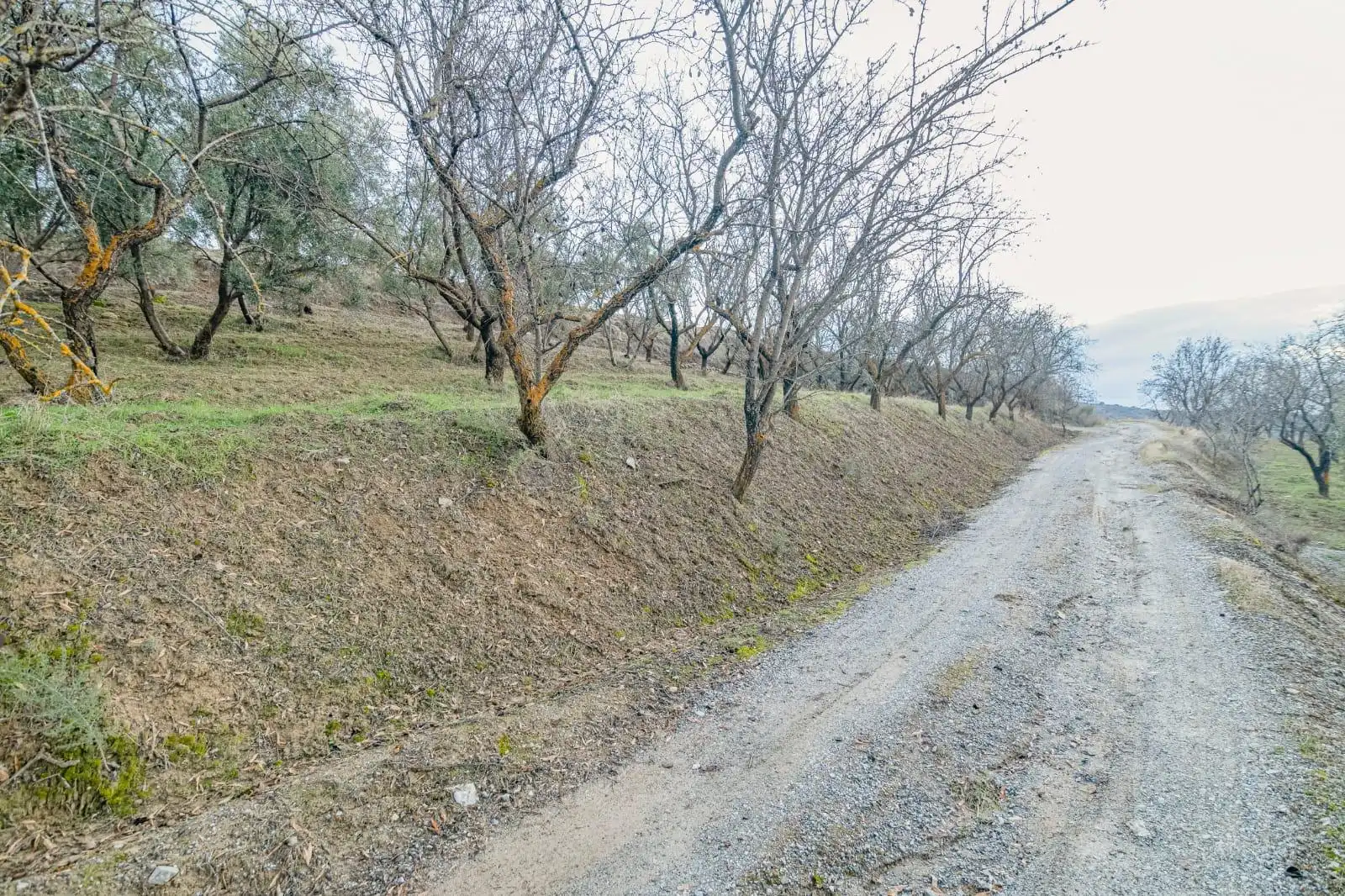 Lands and plots for sale in Autovia Pinos Genil, imagen 21