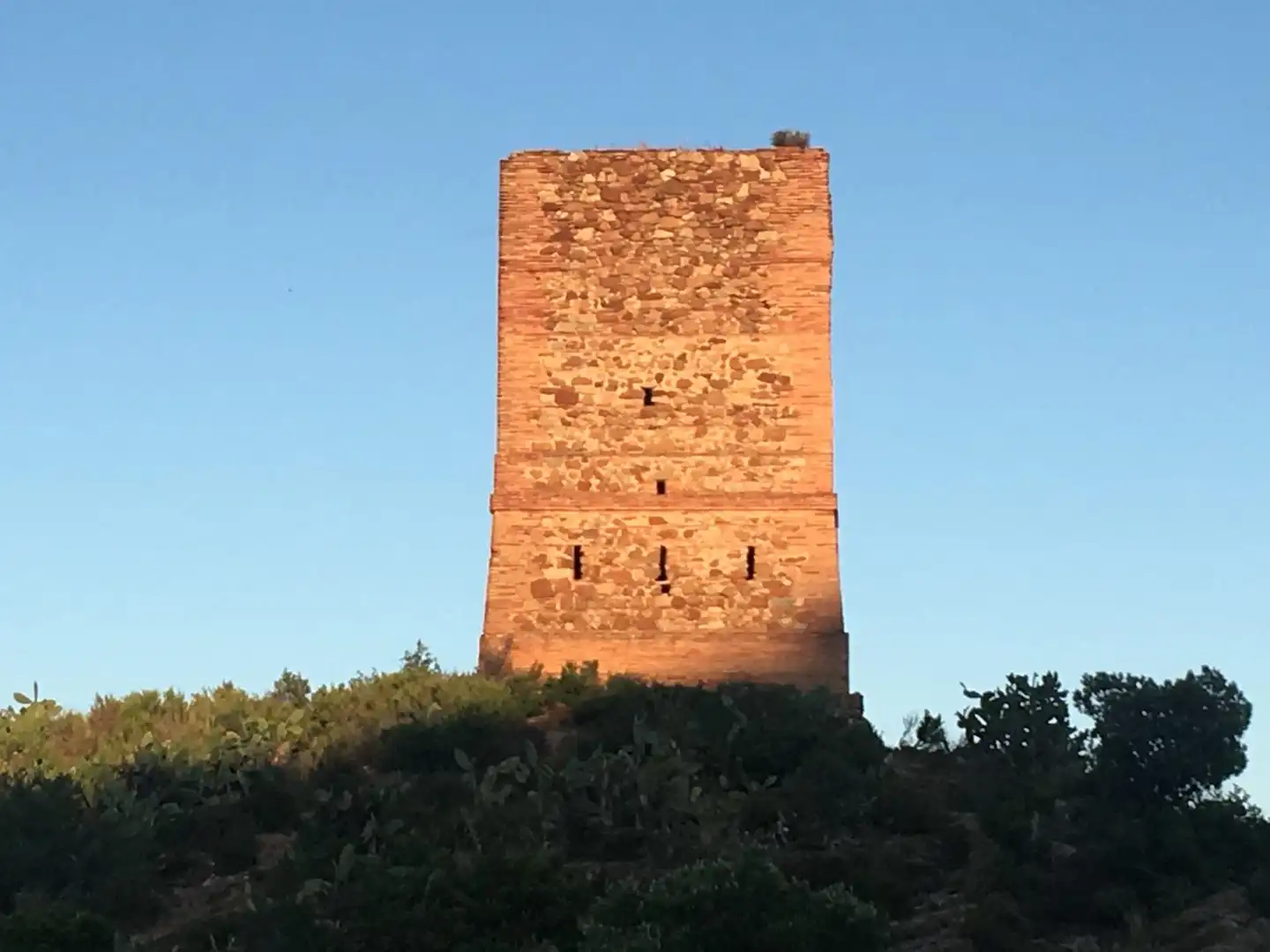 Vista exterior de Local de alquiler en Almenara
