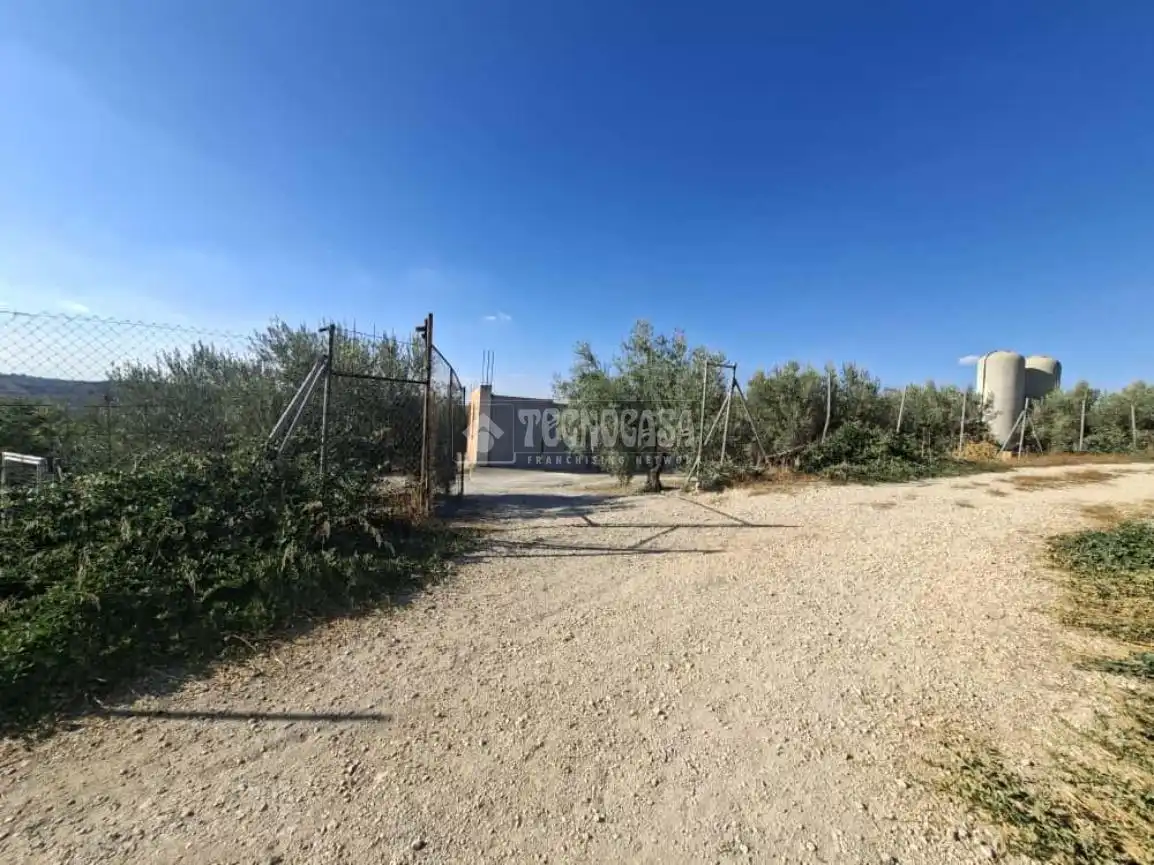 Terreno en venta en Montilla